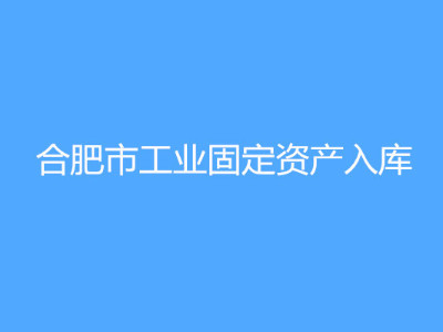 合肥市工業(yè)固定資產入庫