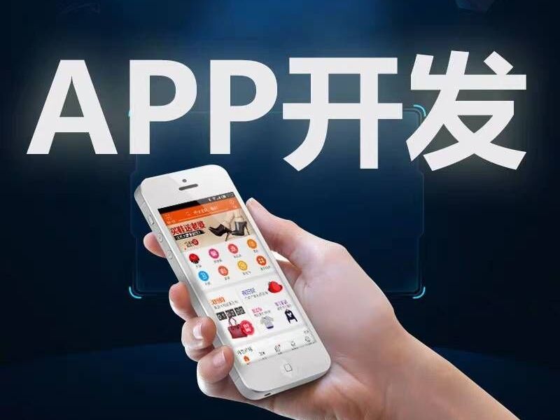 安徽省APP軟件開發(fā)價格